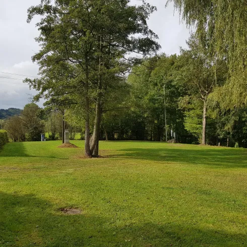 Eine grüne Wiese mit einigen Bäumen und sanften Hügeln im Hintergrund. Der Himmel ist leicht bewölkt und die Umgebung wirkt ruhig und idyllisch.