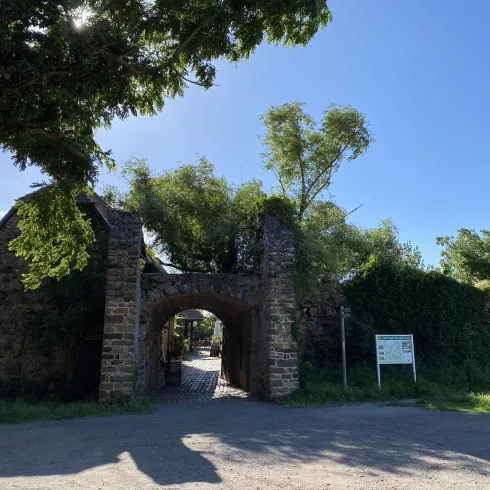 Das  historische Tor der Burgruine Battenberg mit steinernen Mauern, umgeben von üppigem Grün. Der Himmel ist klar und blau, was die friedliche Atmosphäre verstärkt.