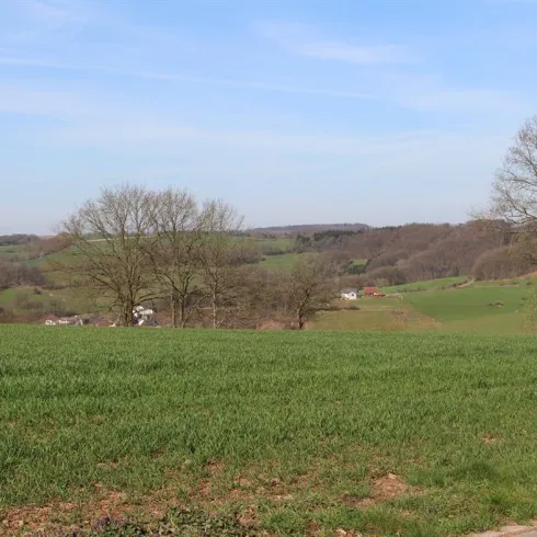 Blick auf Mittelbrunn (© VG Landstuhl)