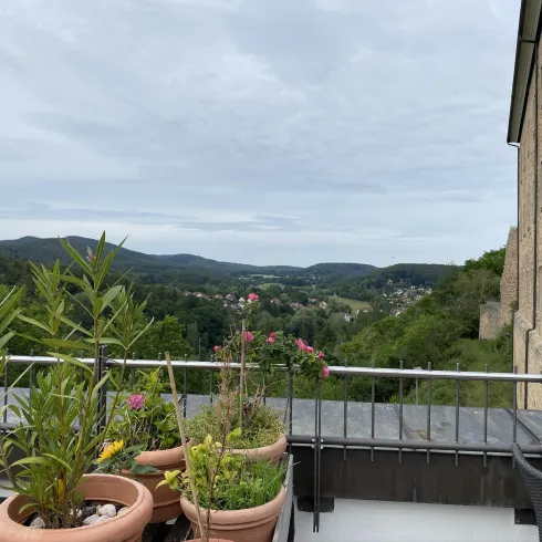 Eine Terrasse mit Töpfen voller Blumen und Pflanzen. Im Hintergrund erstreckt sich eine wunderschöne Landschaft mit Hügeln und einer bewölkten Himmel.