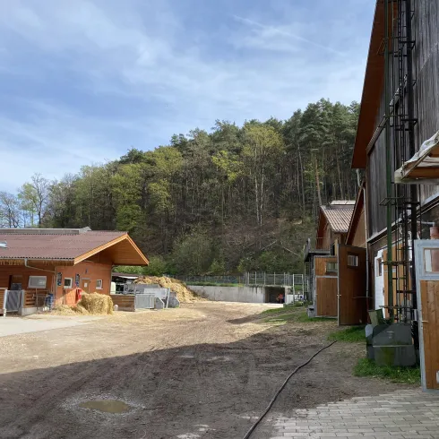 Eine ländliche Szenerie mit mehreren Holzgebäuden und einem staubigen Weg. Im Hintergrund sind bewaldete Hügel zu sehen.
