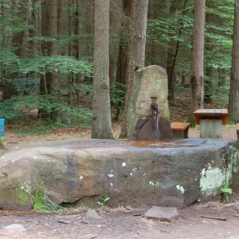 Ein Brunnen aus Stein in einem Wald, umgeben von hohen Bäumen. In der Nähe befinden sich eine Holzbank und ein Tisch.