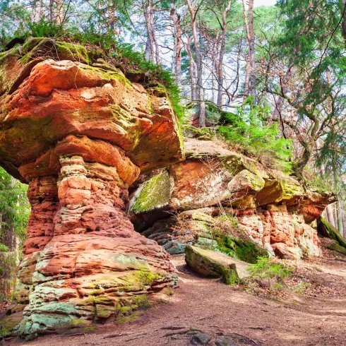 Hexenpilz m. Satansbrocken (© Tourist-Information Dahner Felsenland)