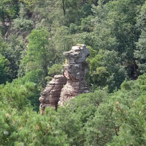 Blick auf Braut und Bräutigam (© Hans-Joachim Noll)