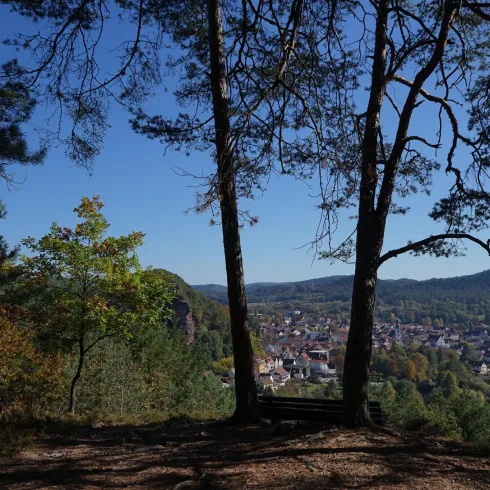 Blick vom Jakobsfelsen (© Jacques Noll) Blick vom Jakobsfelsen (© Jacques Noll)