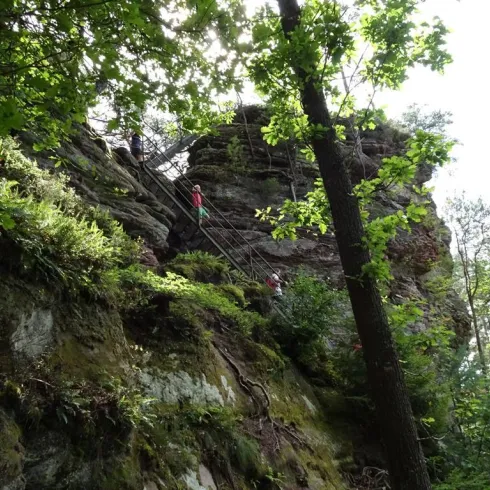 Wachtfelsen in Dahn (© Jacques Noll)