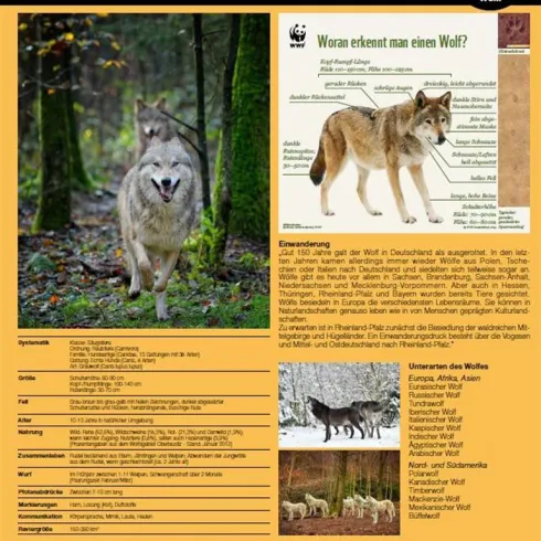 Wolfslehrpfad (© Kurt Groß)