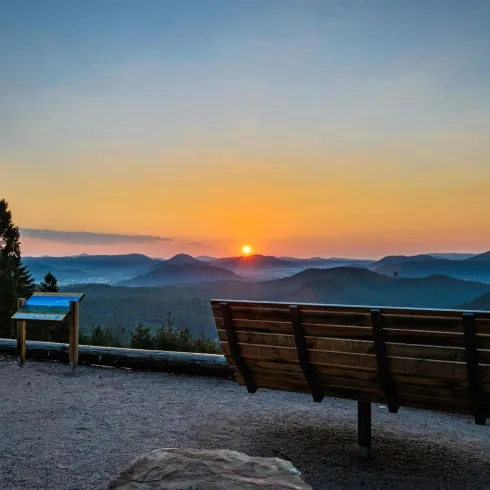 Schöne Aussicht (© Christoph Riemeyer)