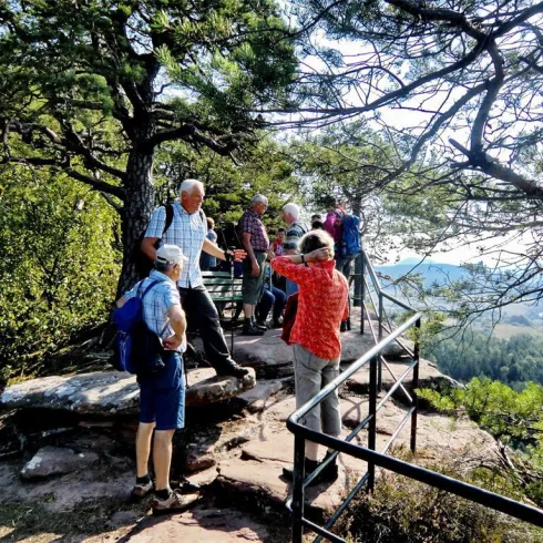 Wanderwoche Dahn - Dahner Felsenland (© Jacques Noll)