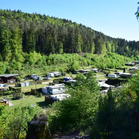 Ein idyllischer Campingplatz inmitten von grünen Bäumen. Verschiedene Stellplätze und Wohnmobile sind auf dem Gelände verteilt.