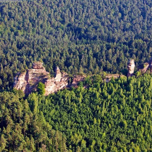 Lämmerfelsen bei Dahn_02 (© Kurt Groß)