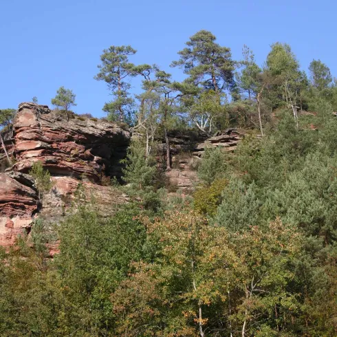 Elwetritschefelsen (© Kurt Groß)