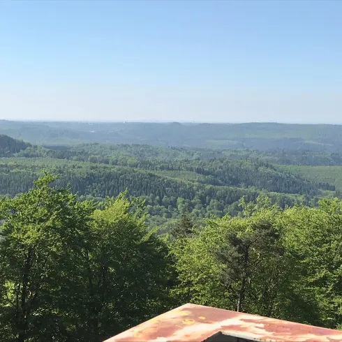 Aussicht Eybergturm (© Nicole Steigner)