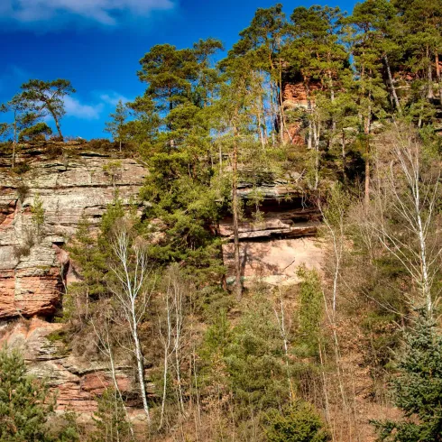 Ein beeindruckender Felsen mit bunten Schichten und Baumvegetation darüber. Der Himmel ist blau und es gibt vereinzelte Wolken.