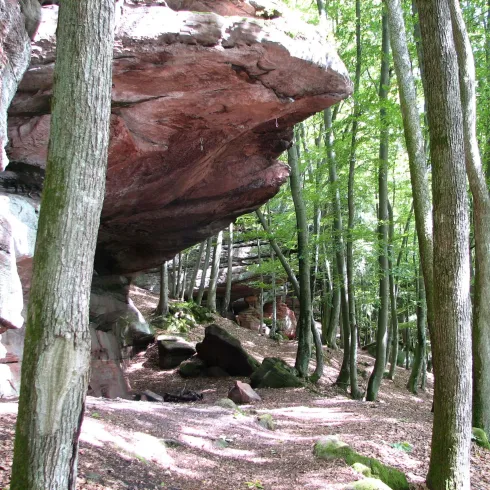 Hohle Felsen (© Jacques Noll)