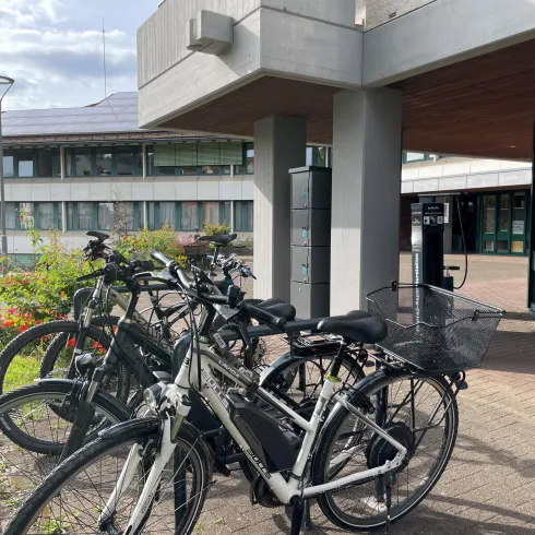Eine Gruppe von Fahrrädern steht vor einem modernen Gebäude. Im Hintergrund sind Blumen und ein klarer Himmel zu sehen.