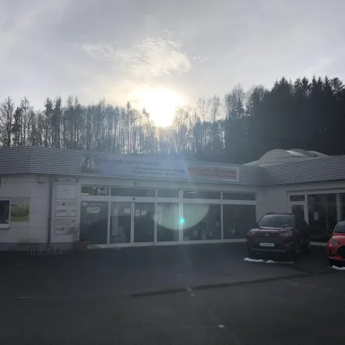 Ein Geschäftshaus mit großen Fenstern und Autos auf dem Parkplatz. Im Hintergrund sind Bäume und der Himmel mit der Sonne zu sehen.