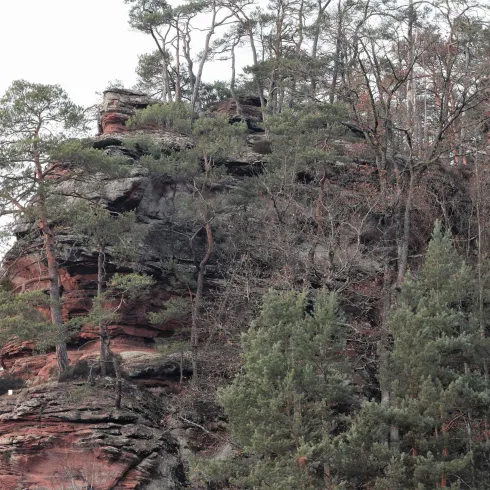 Galgenfelsen Dahn (© Tourist-Information Dahner Felsenland)