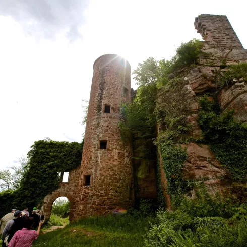 Burg Neudahn (© Kurt Groß)