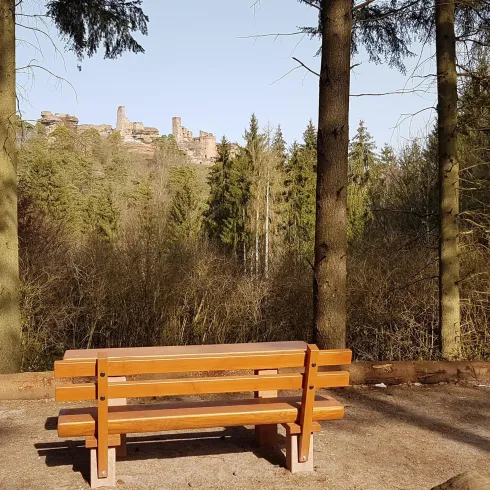 Aussichtspunkt Burg Alt-Dahn Blick (© Anette Lang)