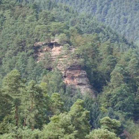 Ein felsiger Vorsprung umgeben von dichten, grünen Wäldern. Die Landschaft zeigt eine malerische natürliche Umgebung.