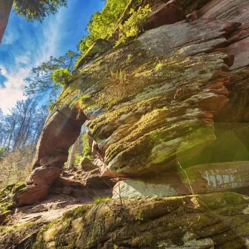 Eine Felswand in der Natur, umgeben von Bäumen und Sonnenstrahlen. Die Landschaft vermittelt ein Gefühl von Ruhe und Schönheit.