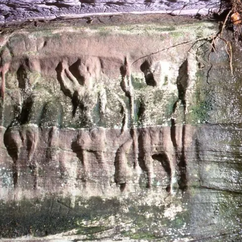 Ein Fels mit alten Petroglyphen, die Figuren und Tiere darstellen. Die Oberfläche ist moosbedeckt und zeigt Abnutzungserscheinungen.