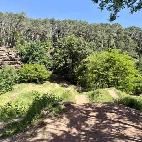Ein Mountainbiker springt über einen Damm im Wald. Die Umgebung ist natürlich und leicht hügelig.