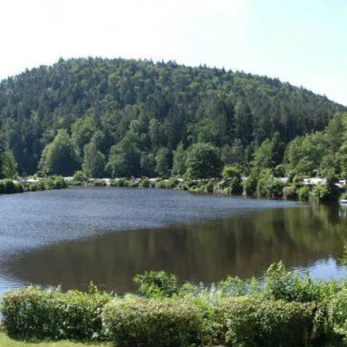 Ein ruhiger See umgeben von grünen Bäumen. Campingfahrzeuge sind am Ufer verteilt.
