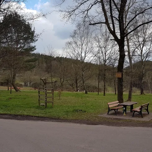 Eine ruhige Parklandschaft mit Bäumen und einer Bank. Im Hintergrund sind sanfte Hügel und ein bewölkter Himmel zu sehen.