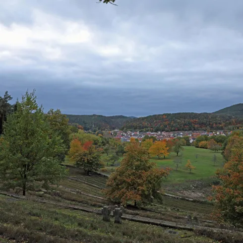 Eine malerische Landschaft mit sanften Hügeln und buntem Laub. Der Himmel ist bewölkt und über der kleinen Stadt erstreckt sich eine ruhige Atmosphäre.