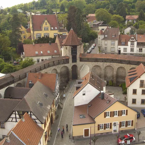 Eine malerische Stadtansicht mit alten Häusern und Stadtmauern. Im Hintergrund sind grüne Bäume und ein klarer Himmel zu sehen.