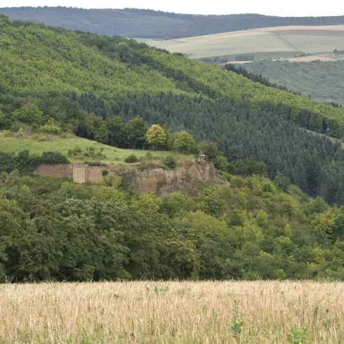 Burgruine Randeck (© Donnersberg-Touristik-Verband)