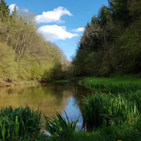 Größter Teich im Dietersbachtal
