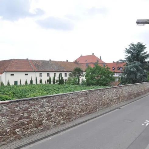 Außenansicht mit Weinberg