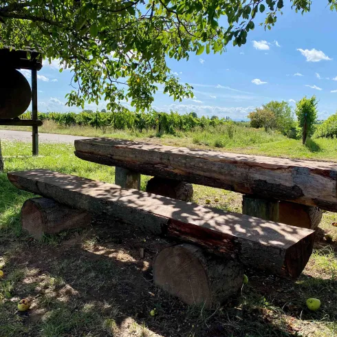 Picknickplatz "Im Rebenmeer" (4)
