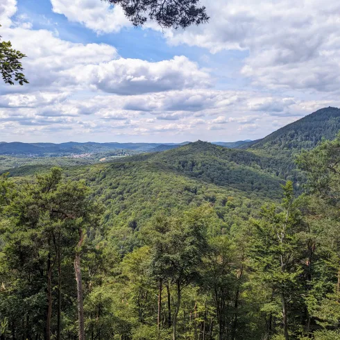 Eine malerische Landschaft mit sanften Hügeln und dichten Wäldern. Der Himmel ist bewölkt und bietet eine friedliche Atmosphäre.