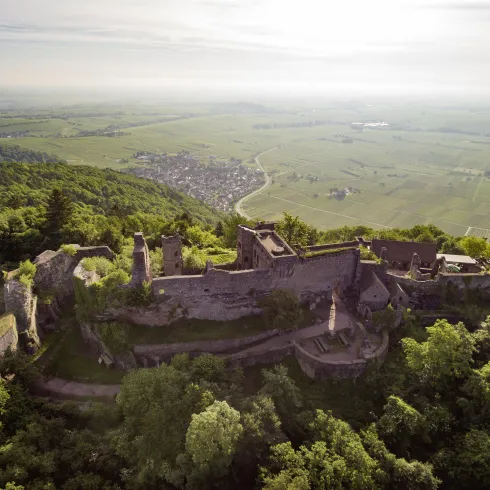 Eine alte Burgruine, umgeben von dichten Wäldern und sanften Hügeln. Im Hintergrund sind weite Felder und eine kleine Siedlung zu sehen.