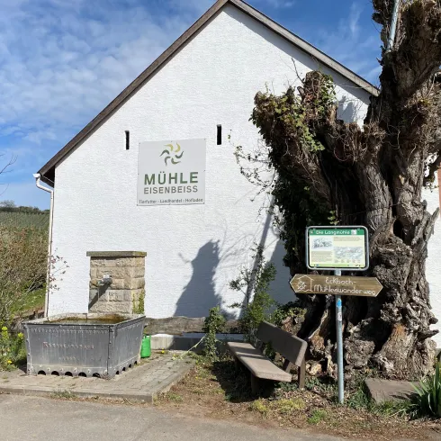 Ein historisches Gebäude mit dem Schriftzug "Mühle Eisenbess". Daneben steht ein großer Baum und es gibt eine Sitzgelegenheit im Freien.
