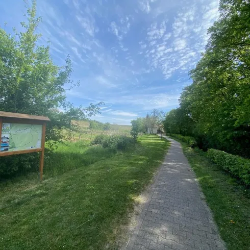 Ein malerischer Weg, gesäumt von Bäumen und Sträuchern. Im Hintergrund sind ein Schild und ein transparenter Himmel zu sehen.