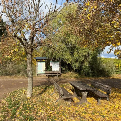 Ein ruhiger Platz unter Bäumen mit einem Tisch und Bänken. Der Boden ist mit buntem Laub bedeckt.