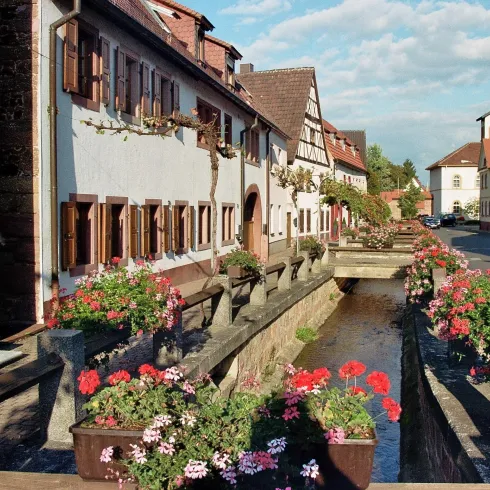 Eine malerische Straße mit traditionellen Häusern und bunten Blumen in Blumenkästen. An der Seite verläuft ein kleiner Kanal, der das Bild lebendig macht.