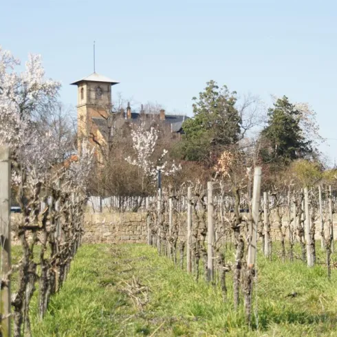Weinhaus Villa Gießen 1