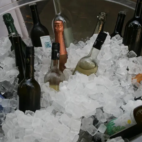 Eine Vielzahl von Wein- und Sektflaschen liegt in einem Eisbad. Die Flaschen sind teilweise mit Eiswürfeln bedeckt.