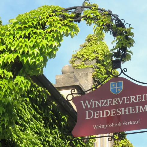 Ein Schild des Winzervereins Deidesheim mit einer eleganten Schrift. Umgeben von grünen Pflanzen bietet es eine einladende Atmosphäre.