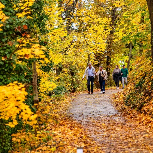 Forsthaus Benjental 1