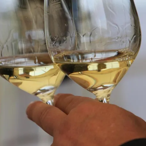 VIP Weinprobe VIP Weinprobe