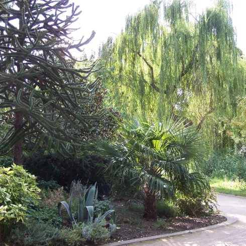Stadtpark Deidesheim 1