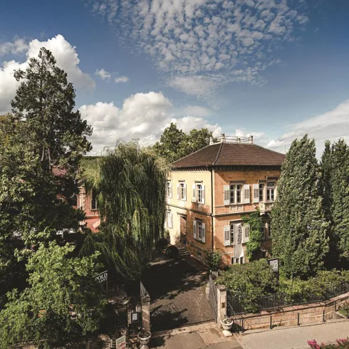 Weingut von Winning 1