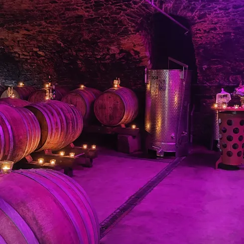 Vino Lumino - Weingut Reichsrat von Buhl